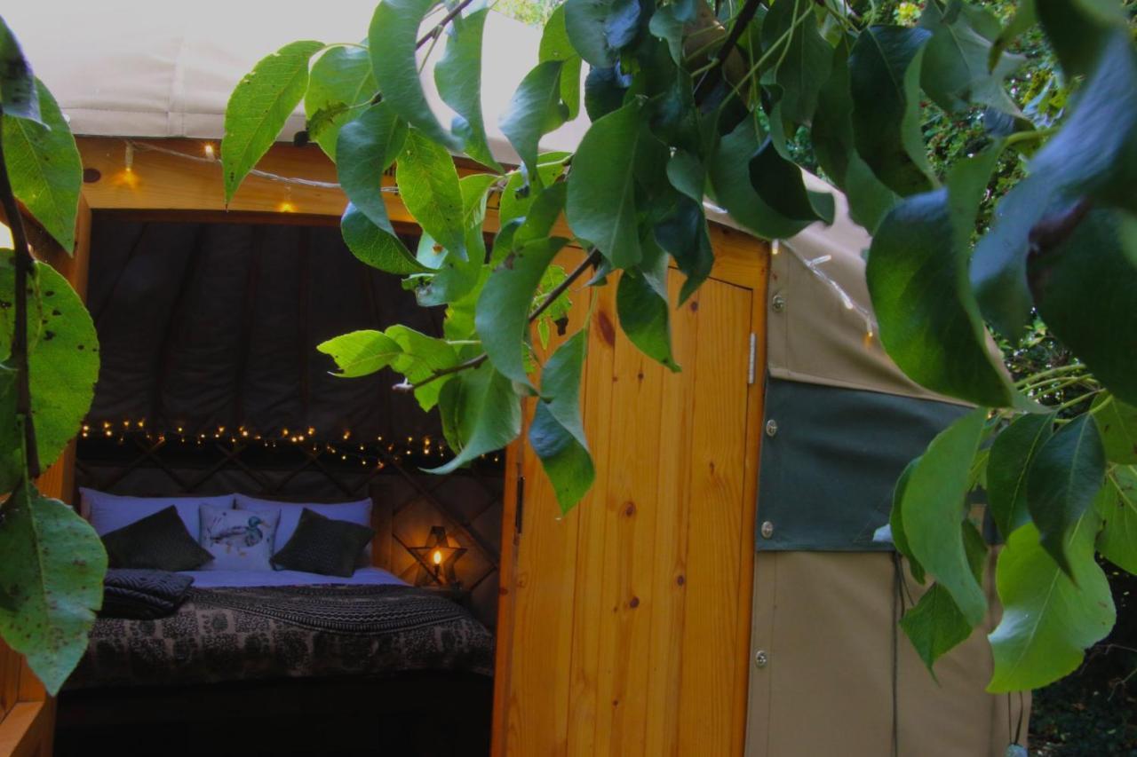 Stamford Meadows Glamping With Private Hot Tubs Hotel ภายนอก รูปภาพ
